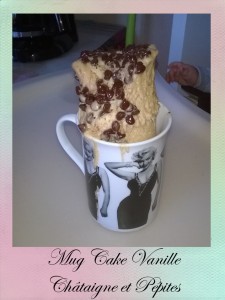 Mug Cake Vanille Châtaigne et Pépites